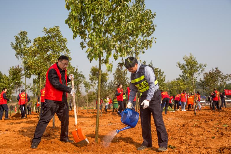 ag�ٷ�����ƽ̨(����)��ҳ