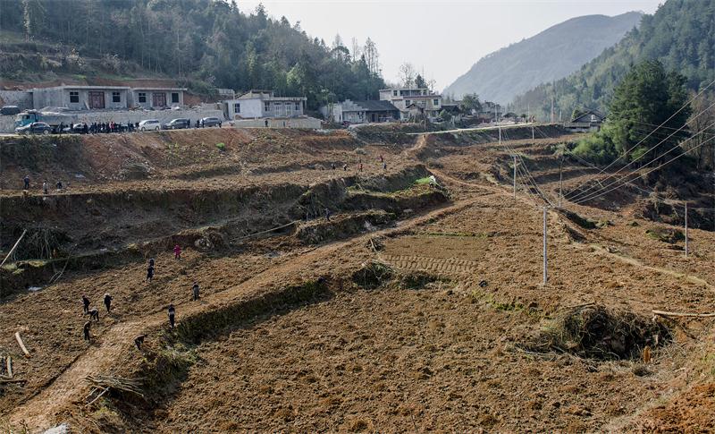 ag�ٷ�����ƽ̨(����)��ҳ